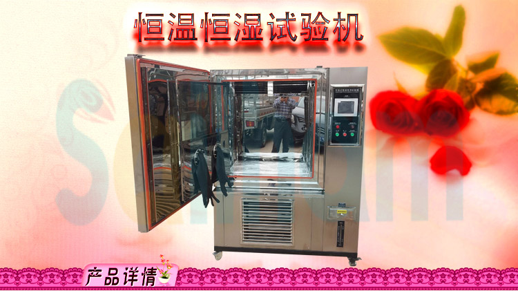 恒溫恒濕向日葵污APP下载
